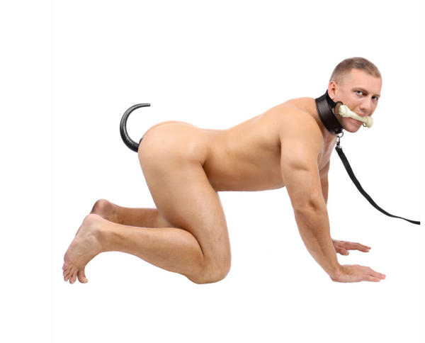 Puppy Play Set - Silicone Bone Gag, Tail Anal Plug, & Collar - Image 2