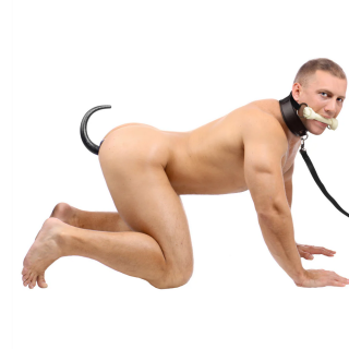Puppy Play Set - Silicone Bone Gag, Tail Anal Plug, & Collar