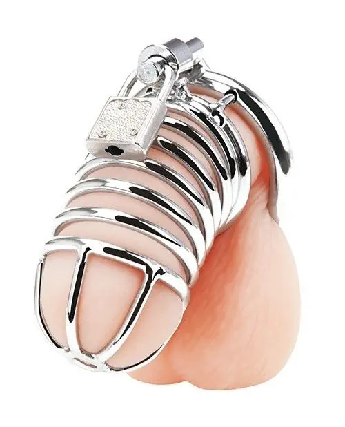 Blue Line Deluxe Chastity Cage Silver - Image 5