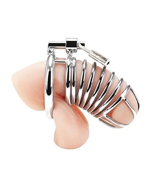 Blue Line Deluxe Chastity Cage Silver - Image 3